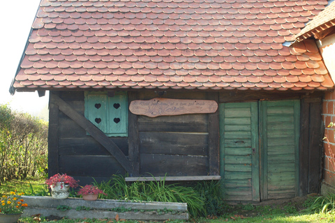Novigrad Podravski: Vineyard Walking Tour in Podravina