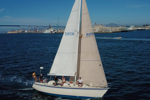 San Diego: Sunset Sailing Tour with Wildlife Watching