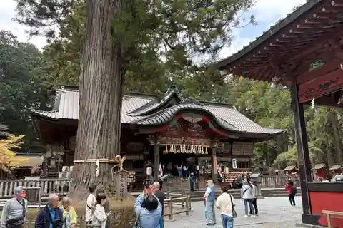 Tokyo: Private Mt. Fuji Day Trip with Hot Spring and Lunch