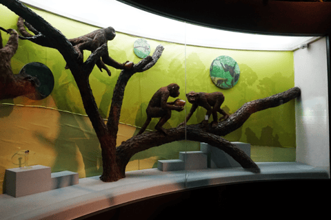 Kunming: Yunnan Provincial Museum Entry Reservation