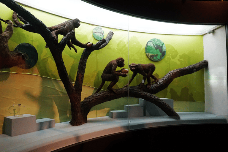 Kunming: Yunnan Provincial Museum Entry Reservation