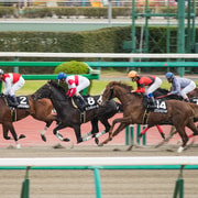 Kyoto and Osaka: Horse Racing Private Experience with Locals