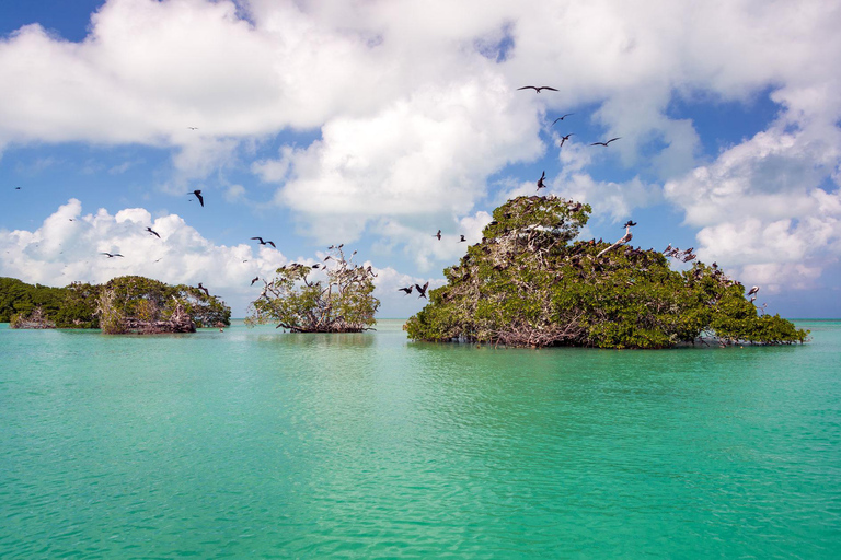 Sian Ka&#039;anTour da Tulum