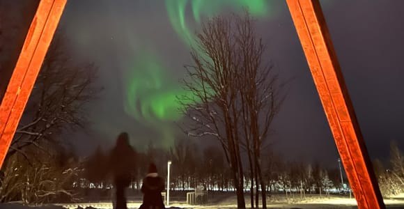 Tromsø: Sledding Tour, Mini Skiing, Campfire & Aurora Cinema