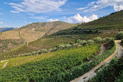 Porto : Visite de la vallée du Douro avec croisière, déjeuner et dégustation de vinVisite privée