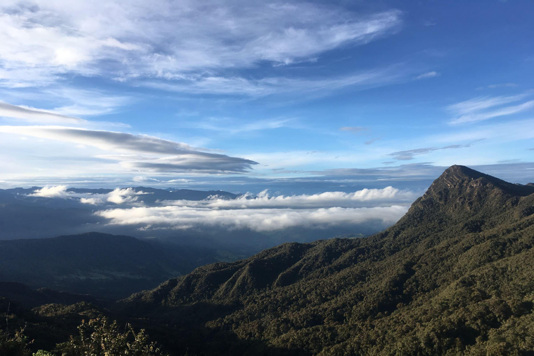 Z Bogoty: prywatna wycieczka do Parku Narodowego ChingazaPark Narodowy Chingaza – transport, bilety i przewodnik