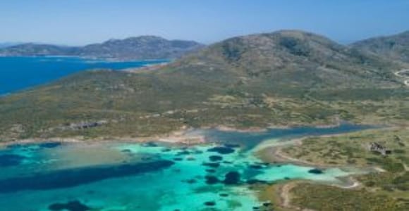 Fishing tourism in Asinara from Stintino with lunch on board