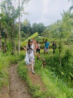 Tetebatu、滝、スパイス、ライステラス、モンキーフォレスト - Housity