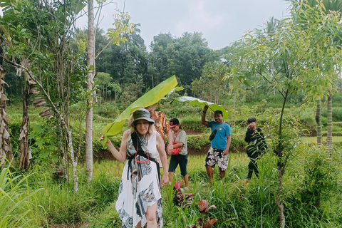 特特巴图：瀑布、香料、梯田、猴子森林特特巴图之旅、香料、瀑布、梯田、猴林
