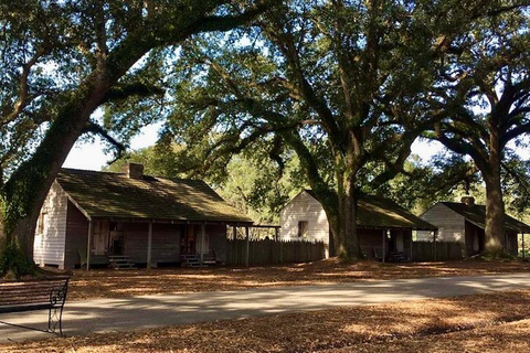 De Nova Orleans: Passeio pela Oak Alley ou pela Laura Plantation