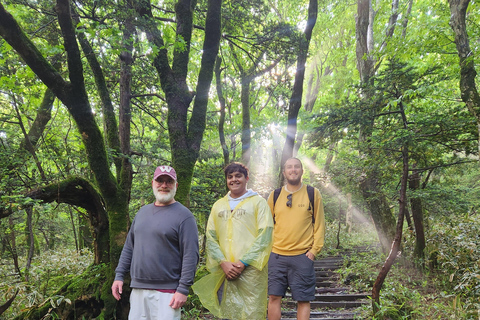 Jeju Sud: Tour in autobus del Monte Hallasan e del Geoparco UNESCO