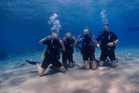 PADI Discover Scuba Diving (DSD) - beginners, Charaki Rhodes PADI DSD program 4 hours (2 dives) beginners, Charaki Rhodes
