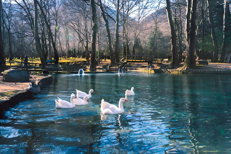 Z Salonik: Vergina, Agios Nikolaos i EdessaZ Salonik: Wergina, Agios Nikolaos i Edessa