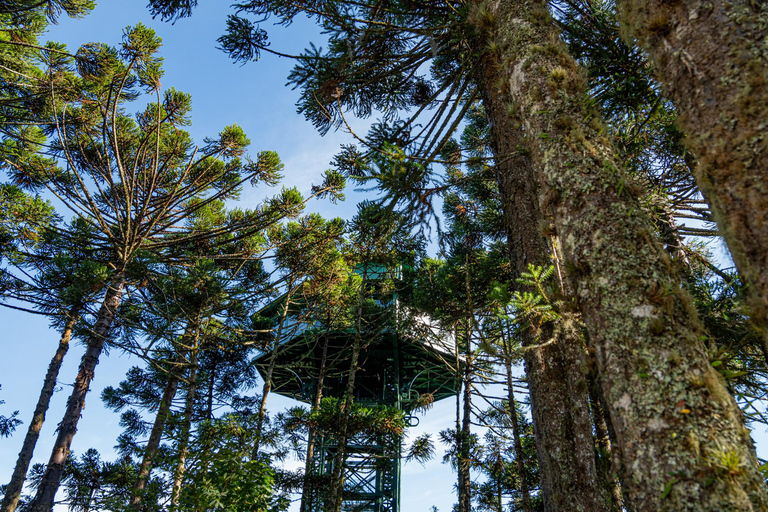 Gramado: Parque do Caracol Entry Ticket Gramado : Parque do Caracol Entry Ticket