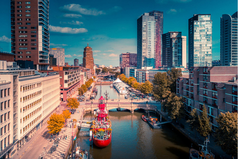 Rotterdams höjdpunkter med lokal guide: Vandringstur &amp; Båtkryssning