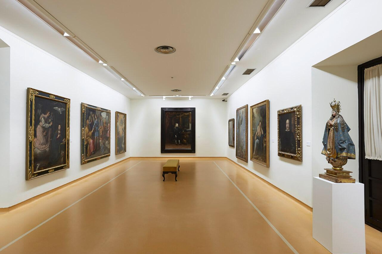 Oviedo : Visita al Museo Arqueológico y de Bellas ArtesVisita al museo arqueológico y de bellas artes