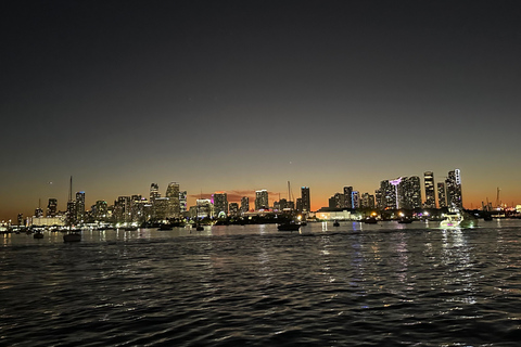 Crociera serale al tramonto a Miami Case dei milionari + Luci dello skylineCrociera al tramonto a Miami: case da milionari + luci dello skyline