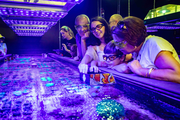 Port Douglas: Forever Reef Project Coral Biobank Guided Tour