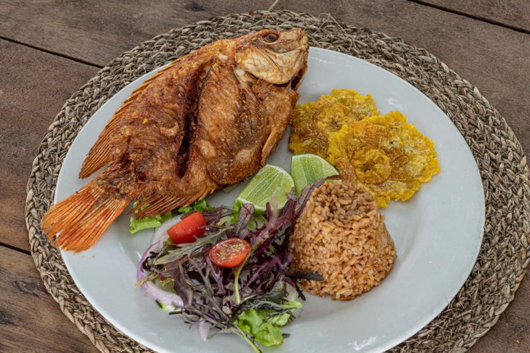 Cartagena : excursion d'une journée sur l'île de Cocoliso dans les îles RosarioVisite de l'île de Cocoliso avec déjeuner et boissons non alcoolisées