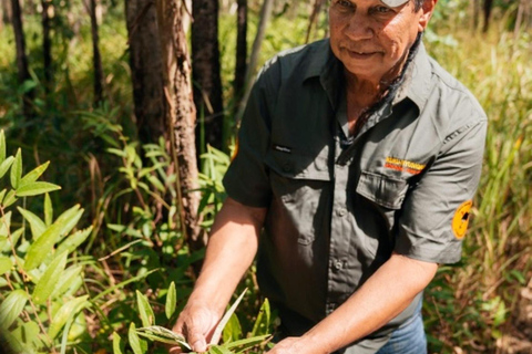 روسفيل: تجربة ثقافية أصلية مع الموكس