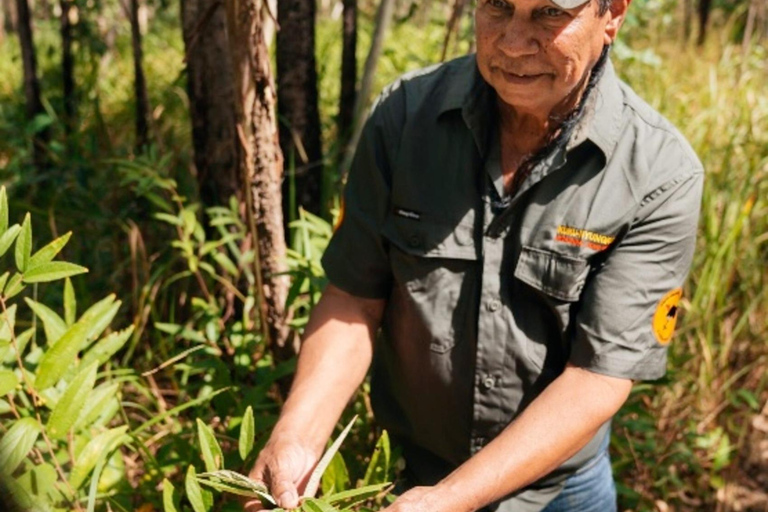 روسفيل: تجربة ثقافية أصلية مع الموكس