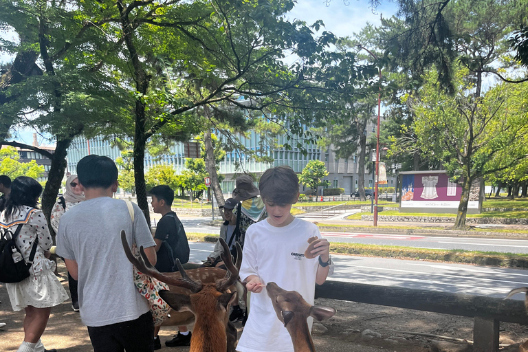 Nara 5 hours Tour with Local Guide