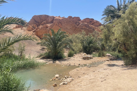 2 giorni in gruppo nel Sahara da Sousse