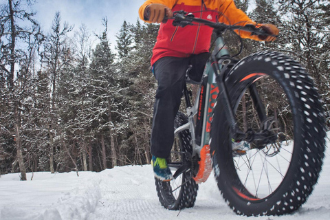 Tromsø: Electric fatbike trip on winter paths