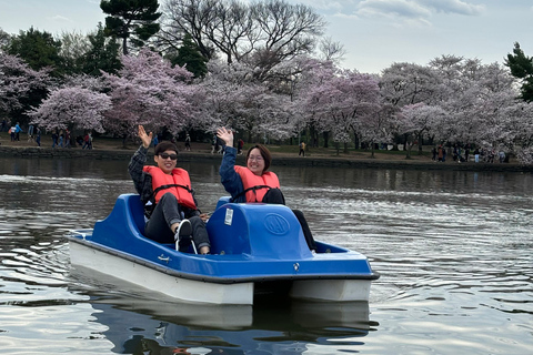 Washington DC : Location de pédalos à Tidal Basin