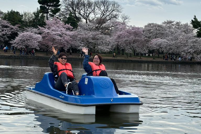 Washington DC : Location de pédalos à Tidal Basin