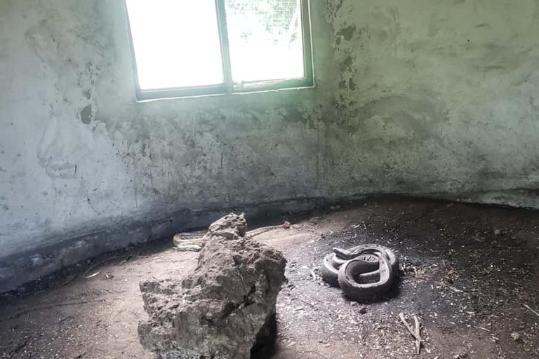 ZANZIBAR: Jozani Forest, butterfly center & Reptile park PRIVATE TOUR INCLUDES TRANSFER