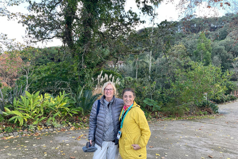 Lisbon See-it-All Private Tour