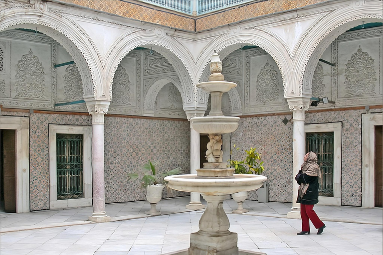 Tunis Day Tour: Medina, Carthage & Sidi Bou Said
