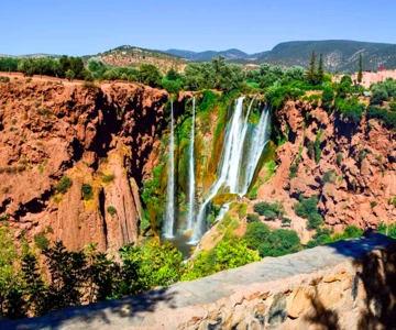 Vanuit Marrakech: Ouzoud-waterval Lokale gids & boottocht
