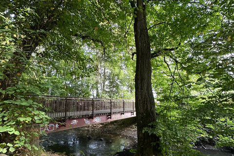 Leipzig: Rosental Park Forest Bathing and Qigong Session
