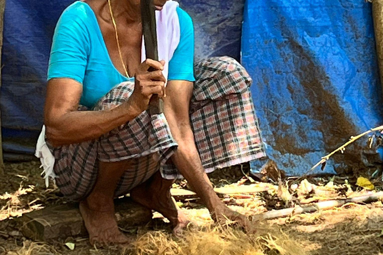Kerala: Backwater Village Punting Boat Cruise with Lunch