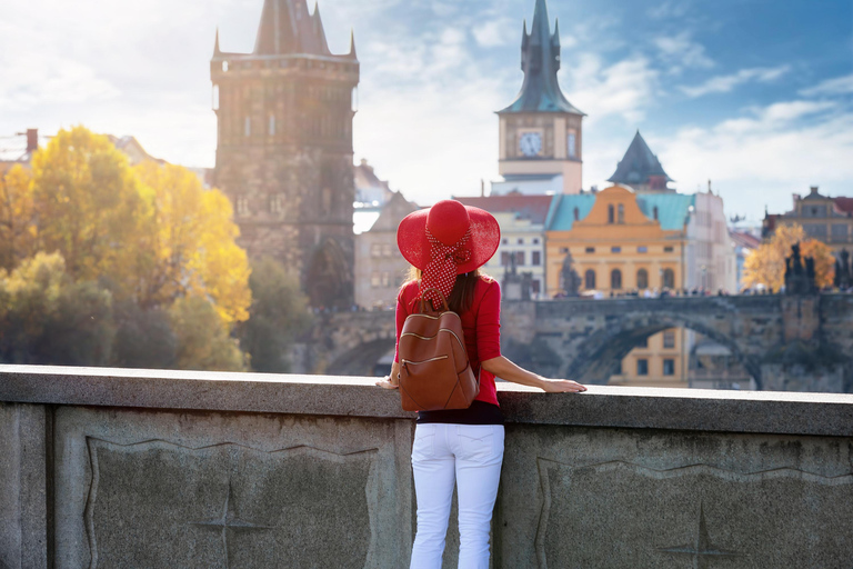 Private day trip from Vienna to Prague and back, in English