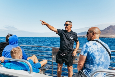 Fuerteventura: crucero en barco y almuerzo