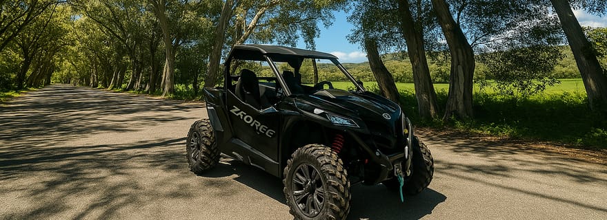 Safari en buggy à Georgioupolis avec dégustation d'huile d'olive