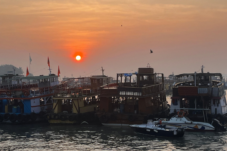 Mumbai Coastal Cooking: Från fiskenät till smakrik tallrik