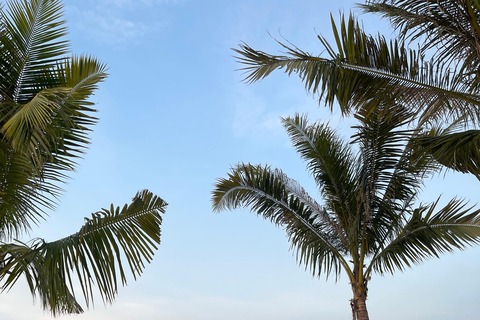 Jakarta: Ancol and Pantai Indah Kapuk | Multilingual Guide Jakarta: Ancol and Pantai Indah Kapuk | English Guide