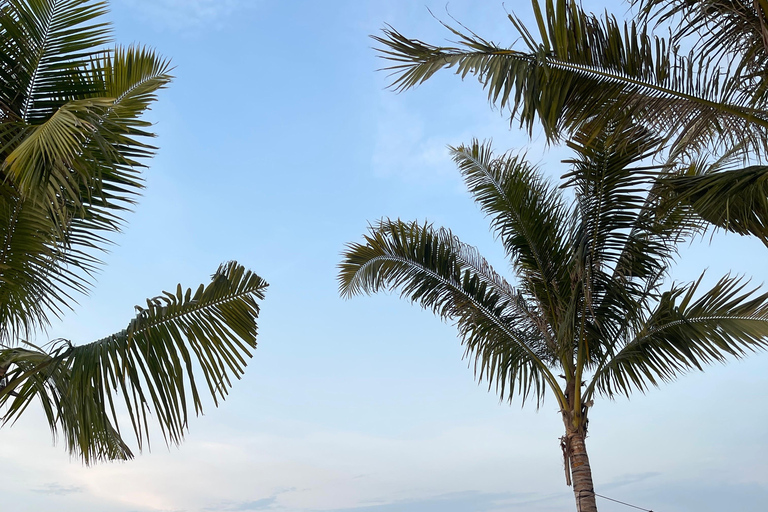 Jakarta: Ancol and Pantai Indah Kapuk | Multilingual Guide Jakarta: Ancol and Pantai Indah Kapuk | English Guide