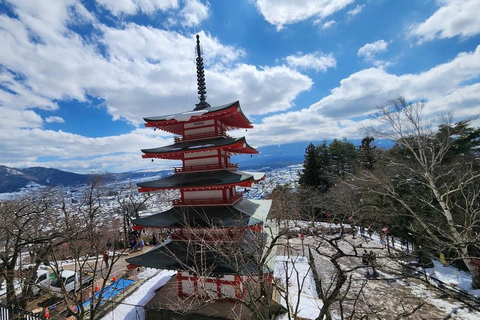 Mt Fuji Sightseeing Private tour with English Speaking Guide