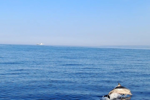 Catania: Sunset Boat Excursion to Acitrezza + Dolphin Watching