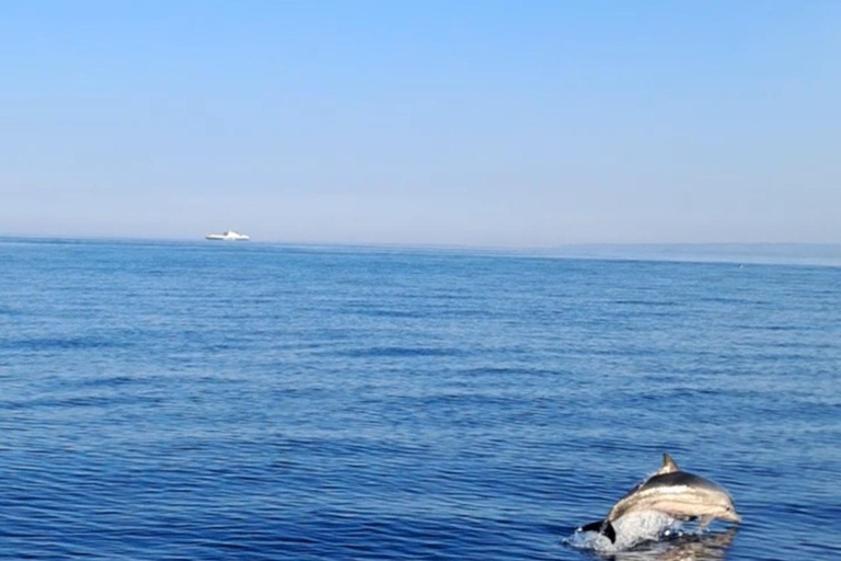 Catania: Sunset Boat Excursion to Acitrezza + Dolphin Watching