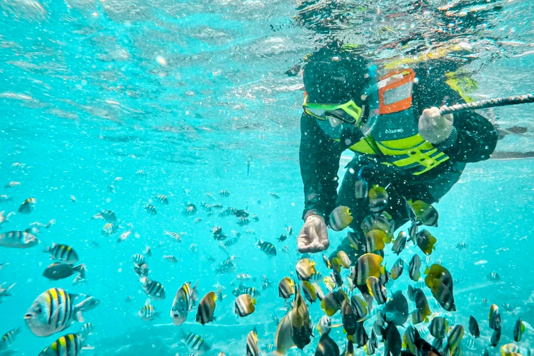 Private Snorkeling Tour Gili Trawangan,Gili Meno,Gili Air Start From: Senggigi,Mangsit,Mataram,Sira,Tanjung,Medana