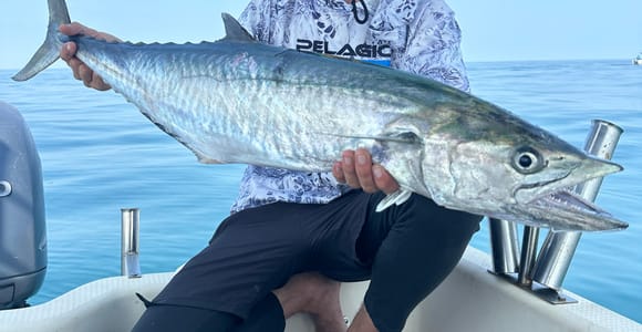 Pattaya Fishing Trip