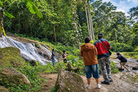 Chiangmai S : Guided ATV Adventure with Waterfalls & Temples