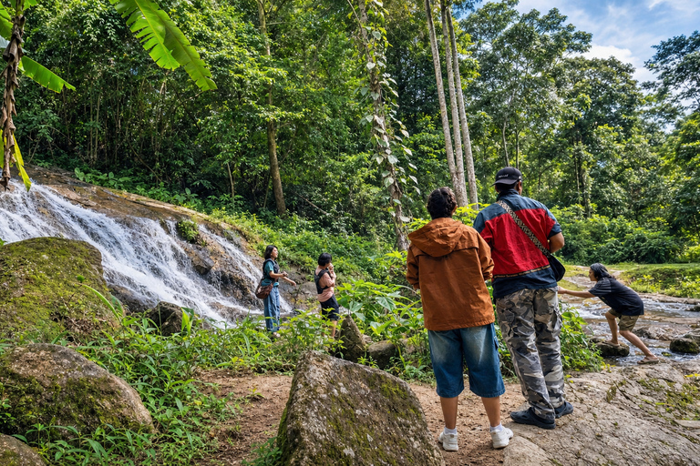 Chiangmai S : Guided ATV Adventure with Waterfalls & Temples