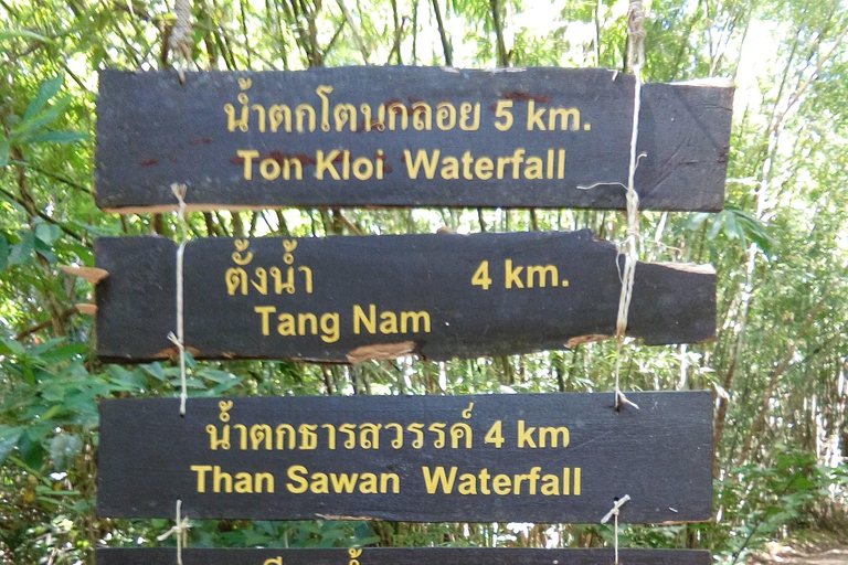 Khao Sok Jungle Day Trip - Jungle Trekking & Bamboo Rafting